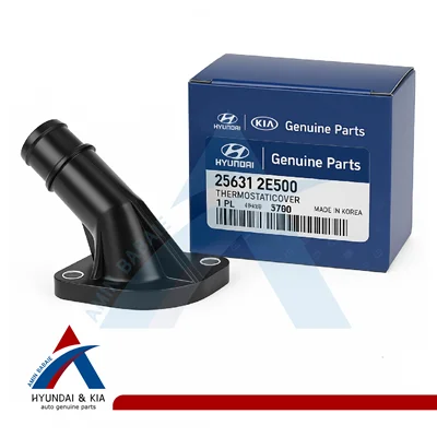 درپوش ترموستات (256312E500)