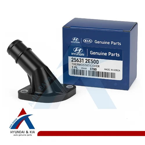درپوش ترموستات (256312E500)